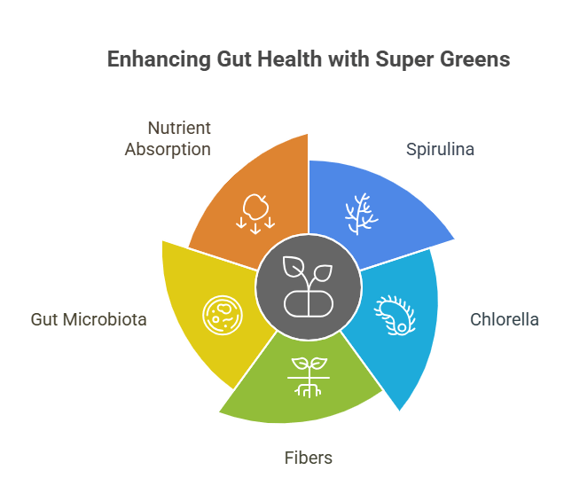Discover the Best Super Greens for Your Health